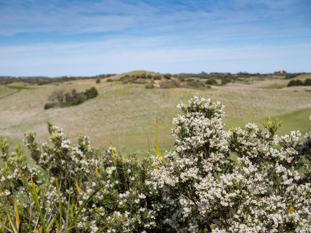 Links Lodge At The Dunes Rye Bagian luar foto